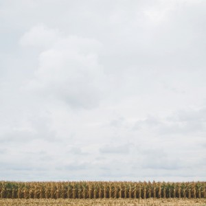 Farmhouse Estate Wedding | Maryland | Victoria Selman Photographer